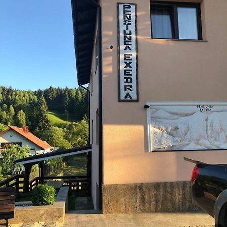 Pensiunea Exedra Hotell Borşa Eksteriør bilde