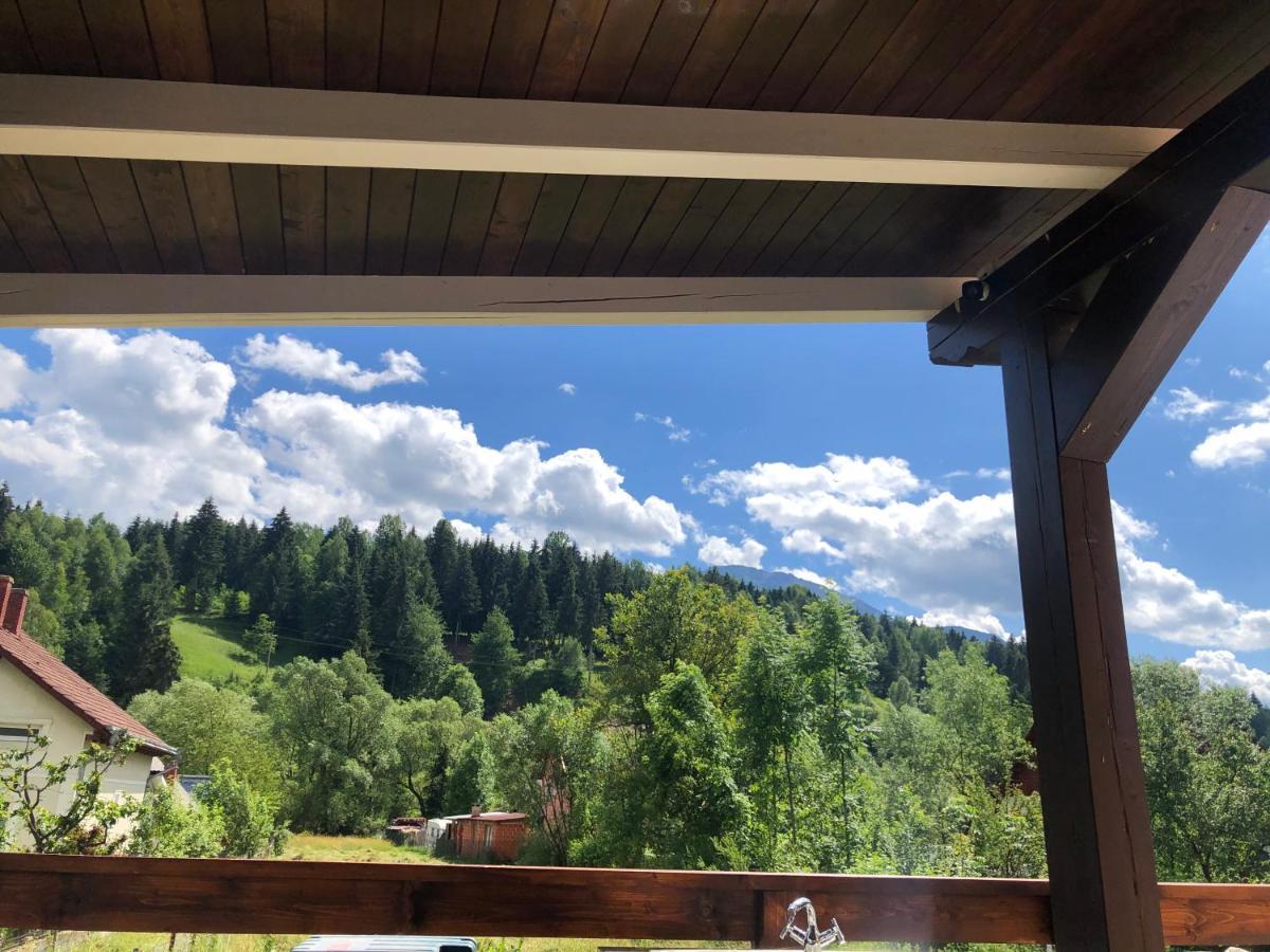 Pensiunea Exedra Hotell Borşa Eksteriør bilde