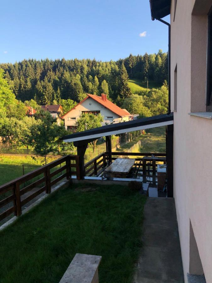 Pensiunea Exedra Hotell Borşa Eksteriør bilde