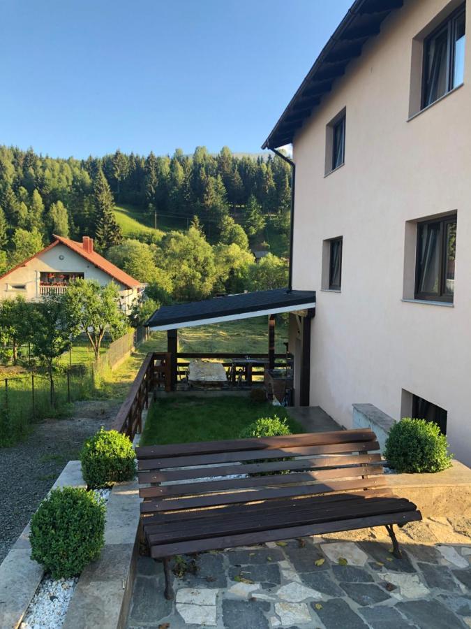 Pensiunea Exedra Hotell Borşa Eksteriør bilde