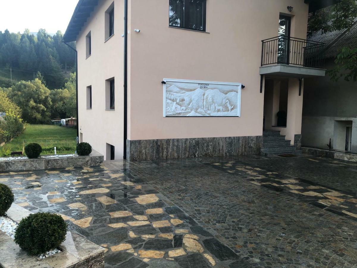 Pensiunea Exedra Hotell Borşa Eksteriør bilde