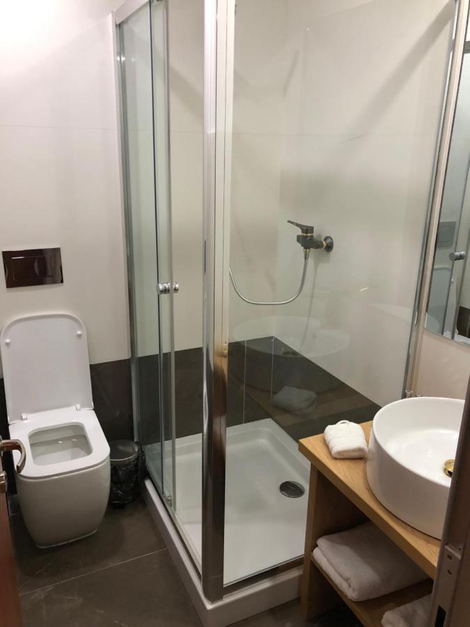 Pensiunea Exedra Hotell Borşa Eksteriør bilde